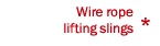 Wire rope lifting slings